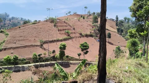 Tree trunk in foreground and agricultural hillside landscape Stock Footage 346660081
