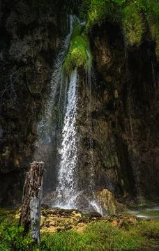 Tree trunk in front of tall waterfall illuminated by sunlight in Plitvice Lak Stock Photos