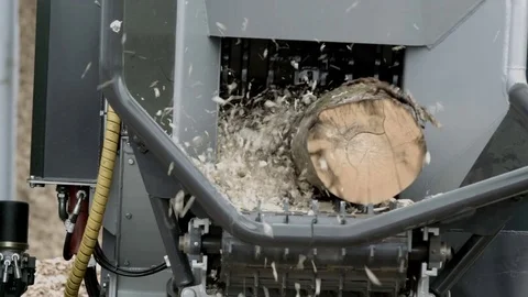 Tree trunk getting into bandsaw making wood chips Stock Footage 71165405