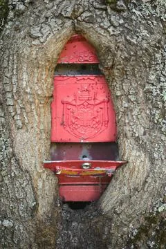 Tree trunk grown around a classic old style red mailbox Stock Photos
