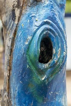 Tree trunk has a blue hole in it Stock-Fotos