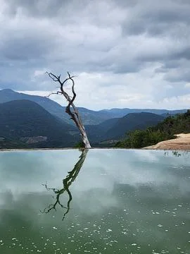 Tree trunk landscape with reflection in Hierve el Agua, Oaxaca Stock Photos