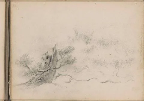 Tree trunk. Leaf 19 Recto from a sketchbook with 27 loose sheets. Copyrigh... Fotos Stock