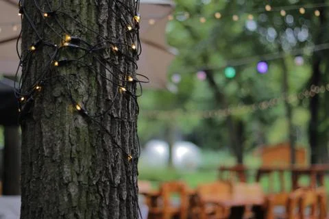 Tree trunk with LED lighting 01 Stock Photos