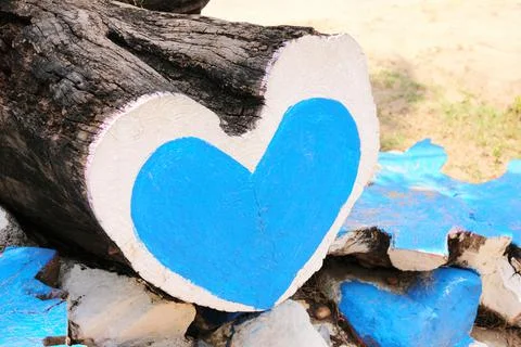 The tree trunk is n the shape of a heart, painted with blue and white paint. Stock Photos