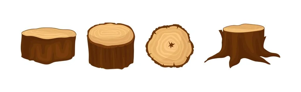 Tree Trunk or Timber Cross Section and Stump Vector Set Stock Illustration