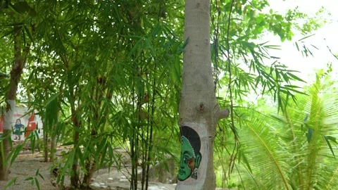 Tree Trunk with Painted Face and Wall Mural, Piplantri Village, Rajasthan Video stock 313238484