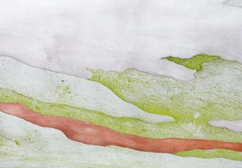 Tree trunk Stock Photos