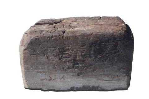 Tree trunk Stock Photos