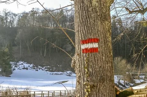 Tree trunk with red and white hiking trail marker in a lush forest, Salzbur.. 스톡 사진