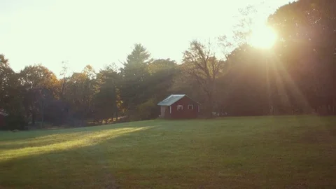 Tree Trunk Revealing Old Barn During Early Morning Sunrise Stock Footage 81491963