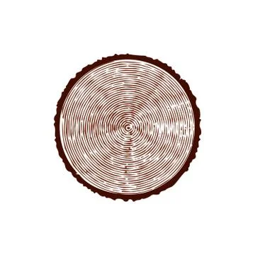 Tree trunk with rings. Annual tree growth rings. vector illustration isolated Stock Illustration