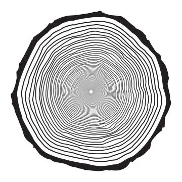 Tree trunk rings design isolated on white background Stock Illustration