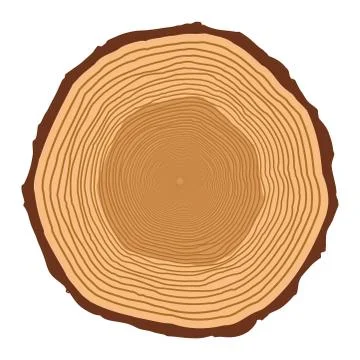Tree trunk rings design isolated on white background Stock Illustration