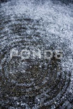 Tree trunk rings with snow Stock Photos