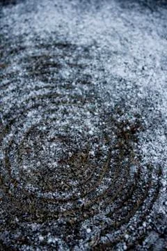 Tree trunk rings with snow Stock Photos