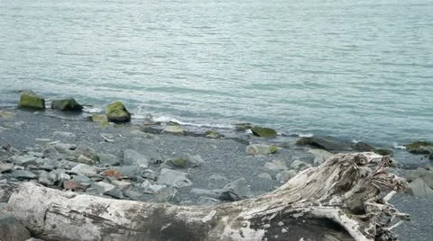Tree trunk on rock shore P HD 8400 Stock Footage 11149380