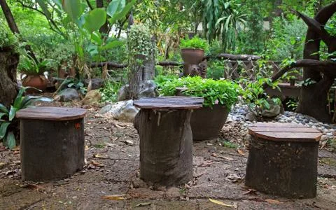 Tree trunk seats Stock Photos