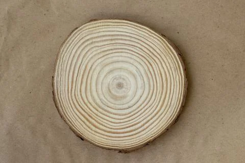 Tree Trunk Slice with Annual Rings on Nature Brown Background, Copy Space. Di Stock Photos