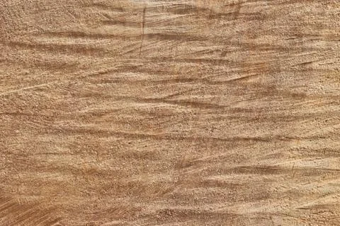 Tree trunk slice background. wood stump background texture. Texture for desig Stock Photos