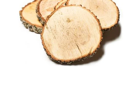 Tree trunk slices on a white background Stock Photos