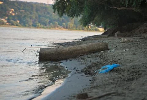 Tree trunk stranded on river Danube shore Stock Photos