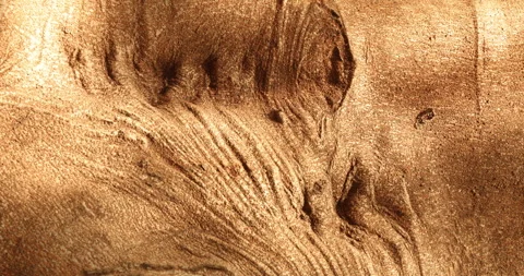Tree Trunk texture Stock Footage 324508189