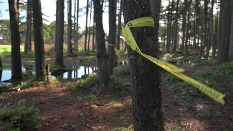 Tree Trunk Tied With Yellow Caution Barricade Tape At City Park During Vidéo 149155120