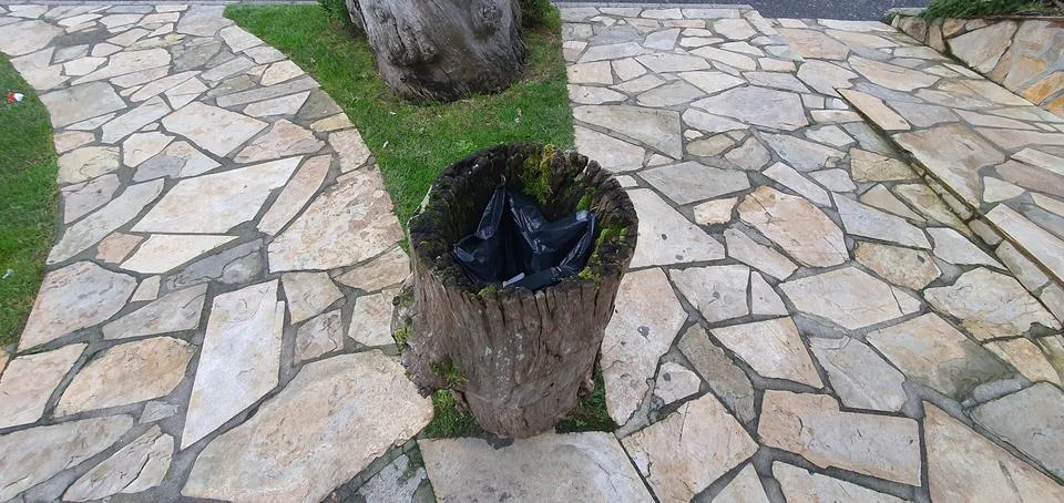 Tree trunk used as trash can Stock Photos
