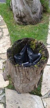 Tree trunk used as trash can Stock Photos
