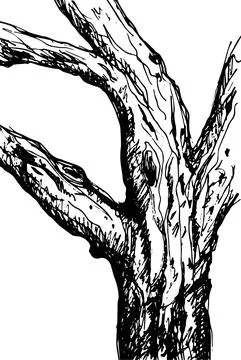 Tree trunk vector sketch silhouette Stock Illustration