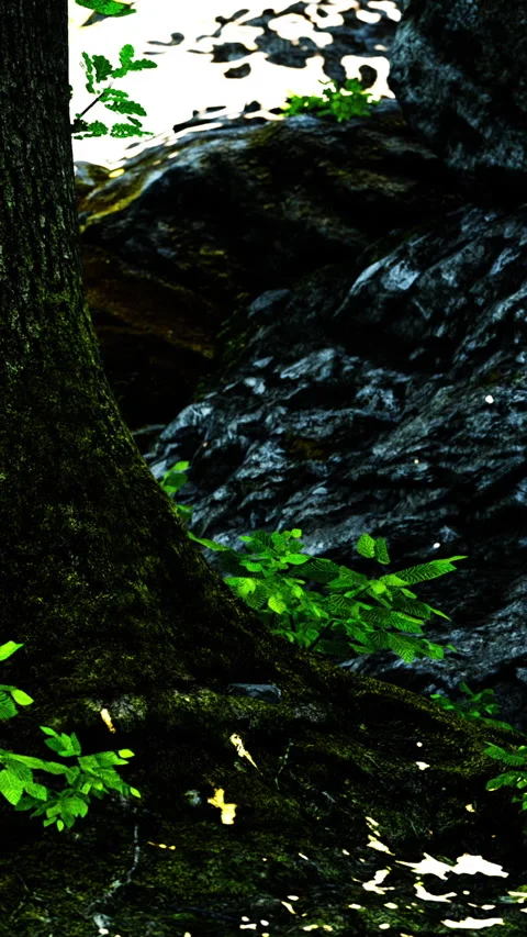Tree trunk by water with rocks and green plants in natural setting Stock Footage 341986100