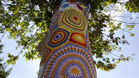 A tree trunk wrapped in colorful knitted cover stands on city street. Handmad Stock Photos