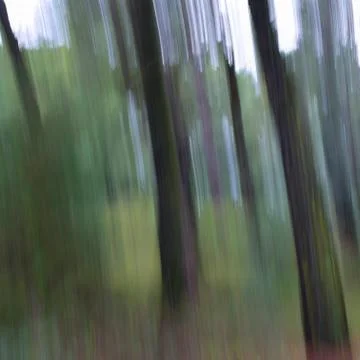 Tree trunks abstract blur Stock Photos