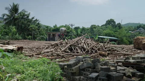 Tree trunks and branches cut and stacked in a warehouse among the mountains of Stock Footage 303847054