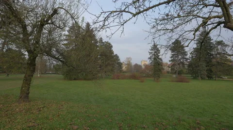 Tree trunks and green grass in Tivoli Park, Ljubljana Stock Footage 61586255