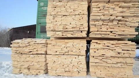 Tree trunks are picked up and distributed to different deposits. Vidéo 134934282