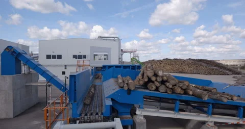Tree trunks are rolled onto a conveyor from the metal chains  Stock Footage 161966994