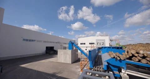 Tree trunks are rolled onto a conveyor from the metal chains Stock Footage 161967054