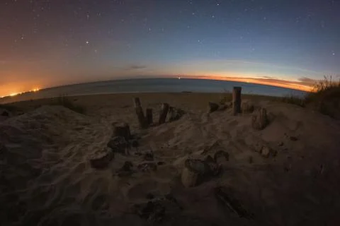 Tree trunks in the beach at night. Summer night Stock Photos