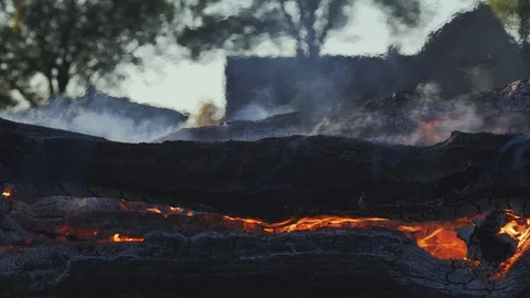 Tree Trunks Burning Slowly In A Bonfire Video stock 90379320