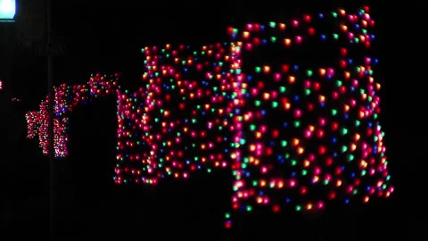 Tree trunks Christmas Lights Rack Focus Stock Footage 202616323