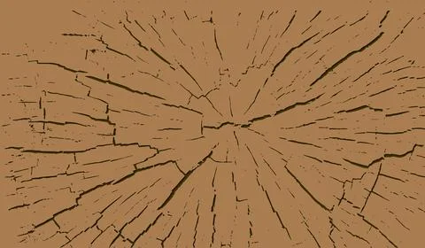 Tree trunks with circular rings isolated 스톡 일러스트