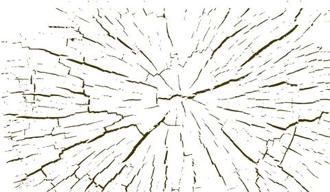 Tree trunks with circular rings isolated 스톡 일러스트