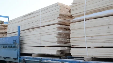 Tree trunks distributed to different deposits. 库存影片 134934173