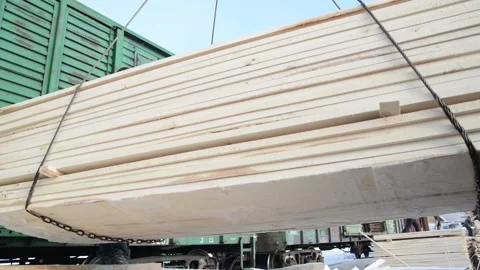 Tree trunks distributed to different deposits. Video stock 134934196