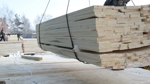 Tree trunks distributed to different deposits. 库存影片 134934215