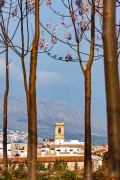Tree Trunks Framing Orba's Bell Tower and Mountains Stock Photos