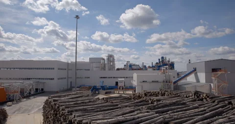 Tree trunks in huge stacks are located next to a conveyor that moves them inside Stock Footage 161967898
