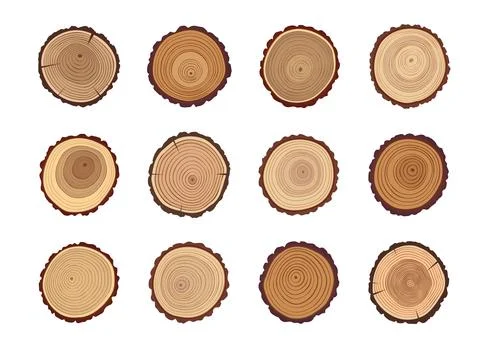 Tree trunks or wood cut stumps with annual circles Illustrazione stock